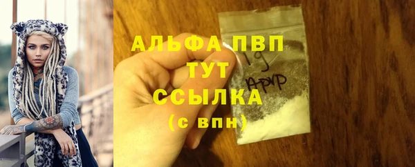 мяу мяу мука Горно-Алтайск
