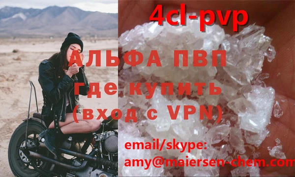 мяу мяу мука Горно-Алтайск