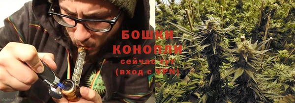 мяу мяу мука Горно-Алтайск