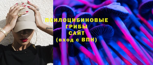 mdpv Гусиноозёрск