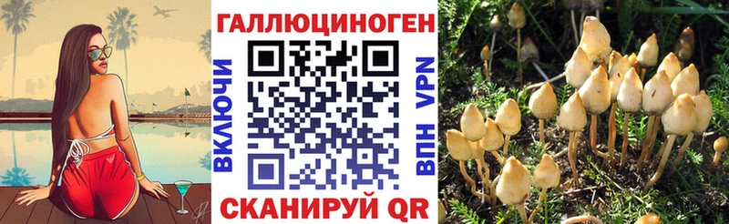 Галлюциногенные грибы MAGIC MUSHROOMS Златоуст